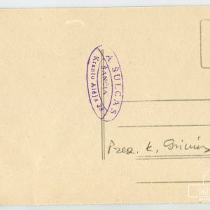 Alternative view of Kazys Grinius - Karo mokykla - Kaunas, 1926 metai - 8,7 x 13,5 cm