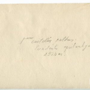 Alternative view of Antanas Smetona sveikina Didžiosios Britanijos karinės misijos Lietuvoje viršininką plk. Henrį Rovaną - Robinsoną - Kaunas, 1920 metai - 9,5 x 16,7 cm