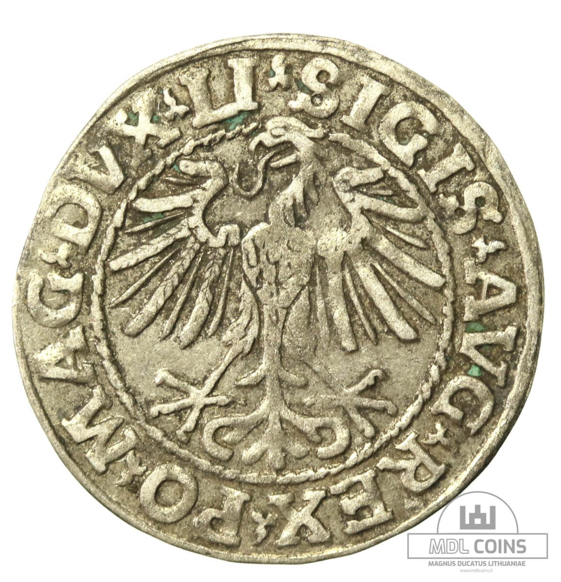 1548 metų Žygimanto Augusto 1/2 grašio - Image 2