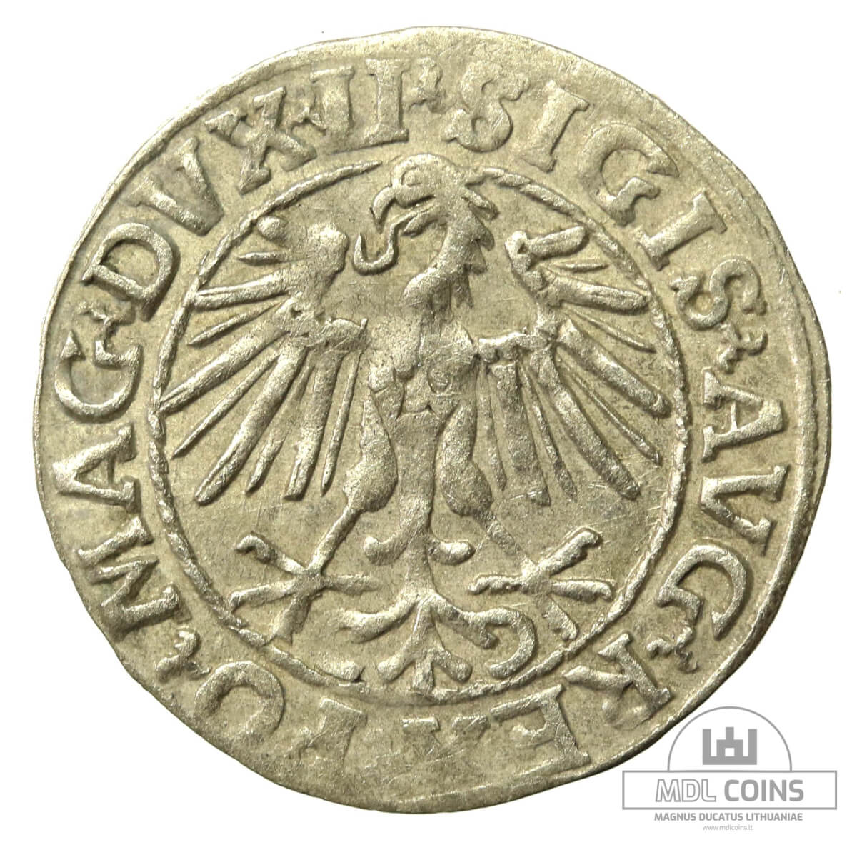 1548 metų Žygimanto Augusto 1/2 grašio - Image 2