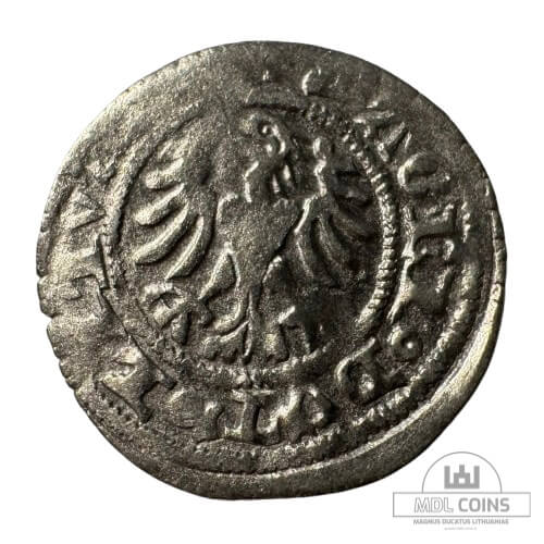 1501-1506 metų Aleksandro Jogailaičio 1/2 grašio - Gotika - Katalogo nr. H3 A - Image 2