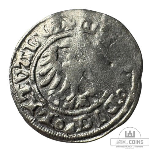 1501-1506 metų Aleksandro Jogailaičio 1/2 grašio - Gotika - Katalogo nr. H4 A - Image 2