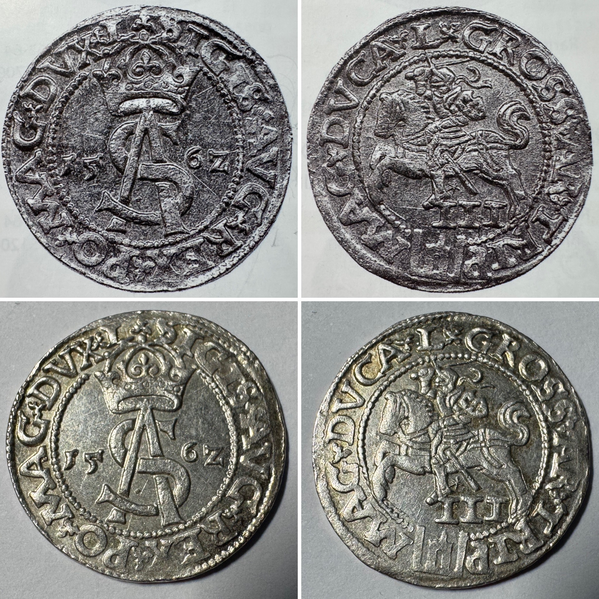 1562 metų Žygimanto Augusto 3 grašiai - Katalogo nr. 9SA16-6 - Kataloginė moneta - Image 5