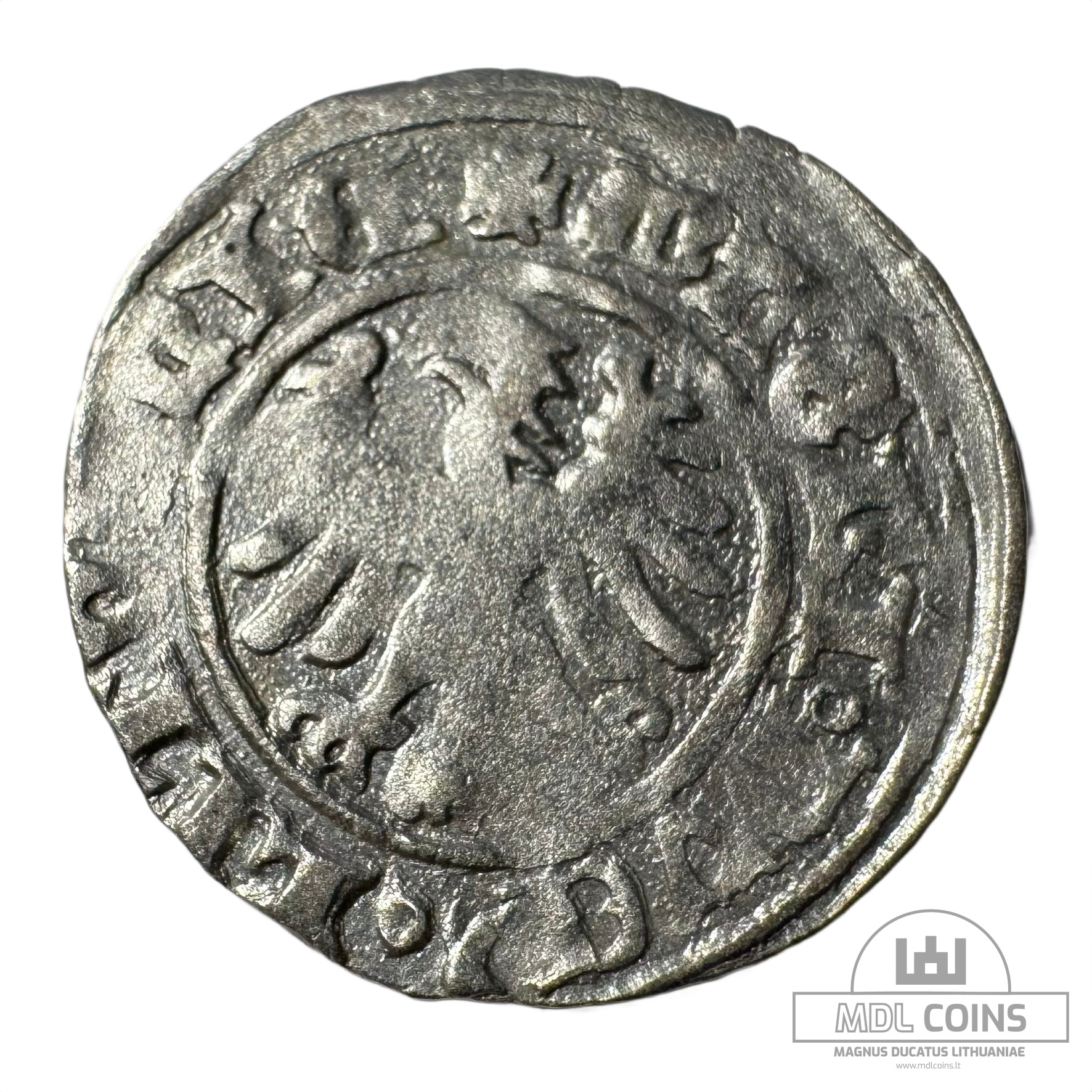 1501-1506 metų Aleksandro Jogailaičio 1/2 grašio - Gotika - Image 2