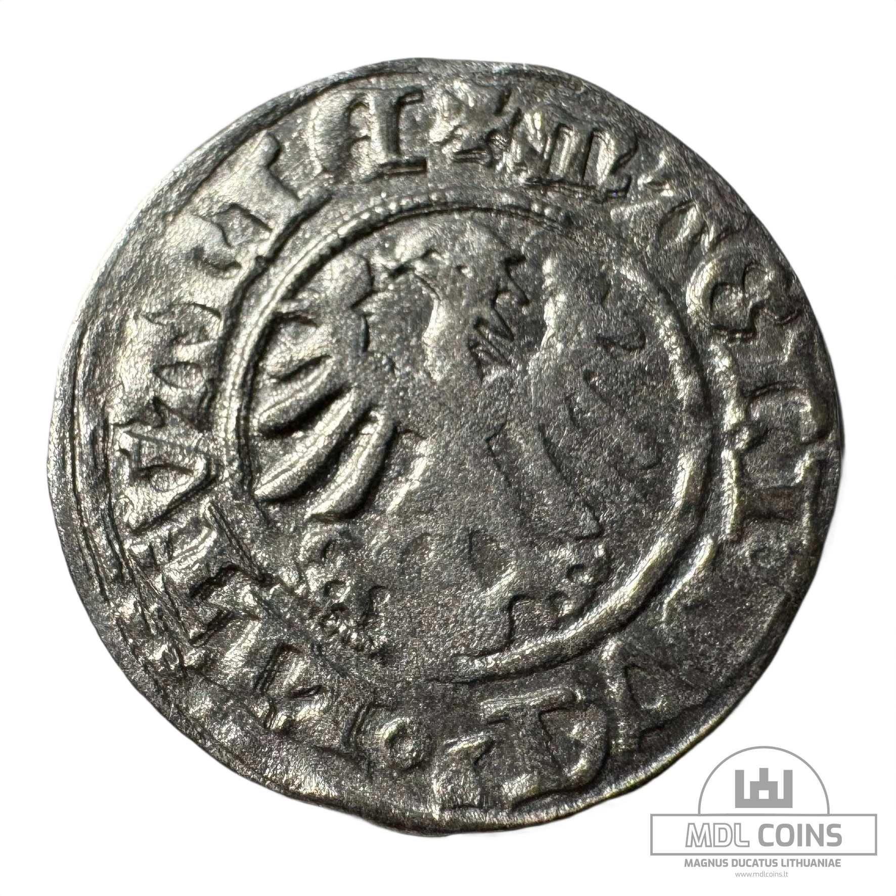 1501-1506 metų Aleksandro Jogailaičio 1/2 grašio - Gotika - Image 2