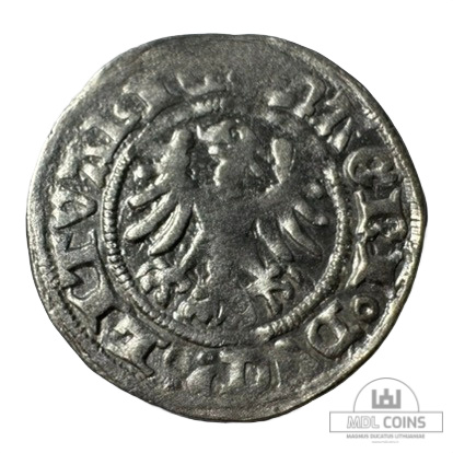 1501-1506 metų Aleksandro Jogailaičio 1/2 grašio - Gotika - Image 2