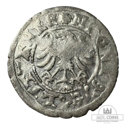 1501-1506 metų Aleksandro Jogailaičio 1/2 grašio - Renesansas - Image 2