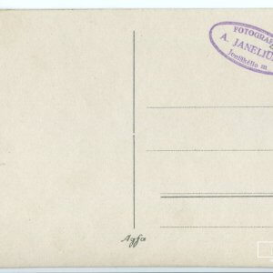 Alternative view of Joniškėlio gyventojai sutinka Lietuvos Respublikos Prezidentą Antaną Smetoną - 1927 metai - 8,7 x 13,8 cm