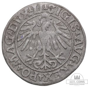 Alternative view of 1548 metų Žygimanto Augusto 1/2 grašio – (Sesija Nr.89 – Pabaiga 20260408 – 21.50 val. + 2 min. „Anti-sniping”)