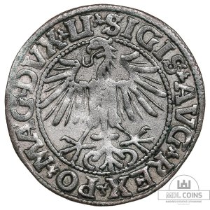 Alternative view of 1549 metų Žygimanto Augusto 1/2 grašio