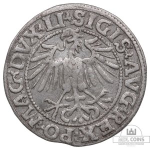 Alternative view of 1549 metų Žygimanto Augusto 1/2 grašio