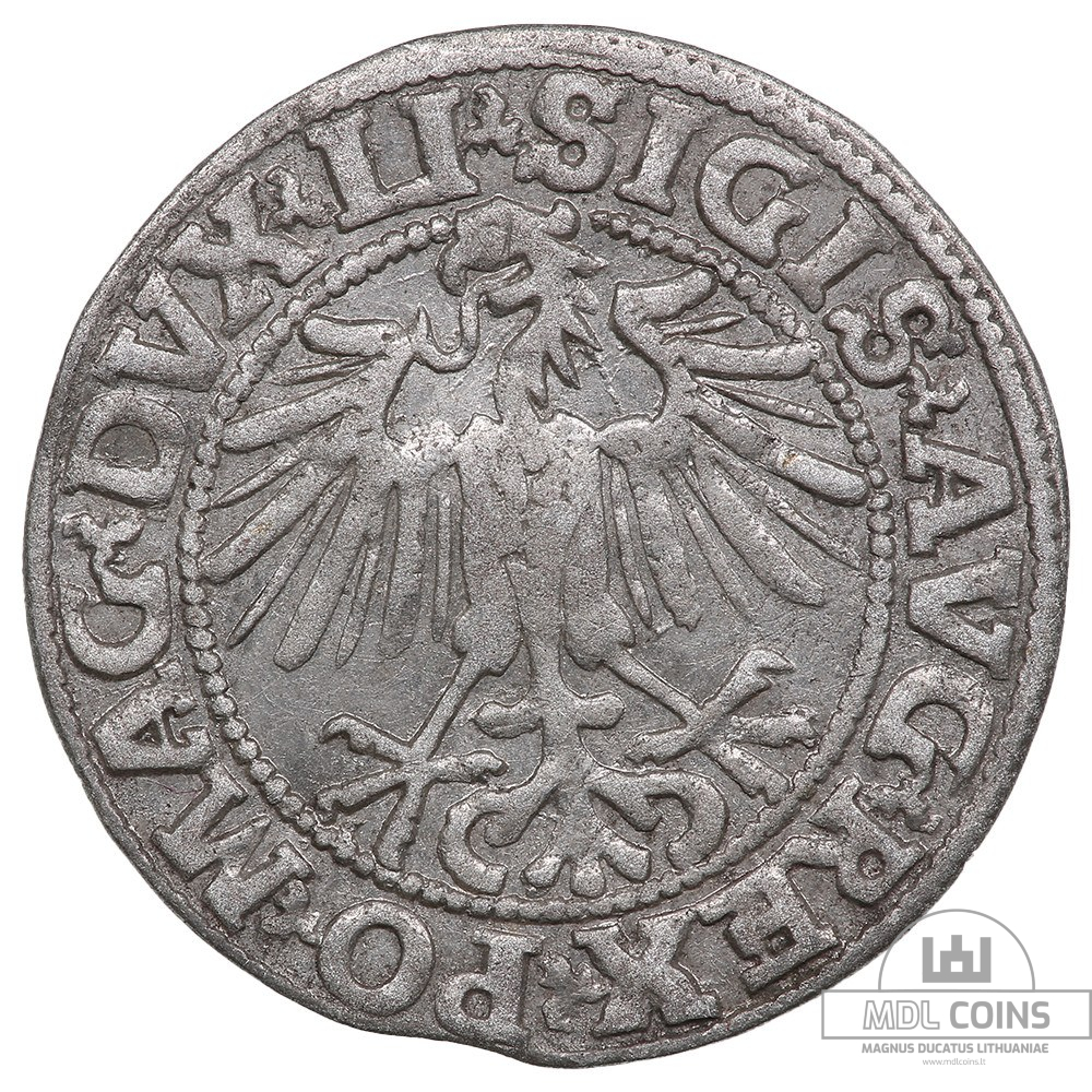 1549 metų Žygimanto Augusto 1/2 grašio - Image 2