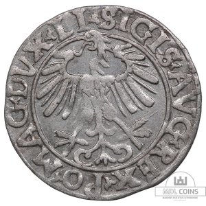 Alternative view of 1556 metų Žygimanto Augusto 1/2 grašio – (Sesija Nr.89 – Pabaiga 20260408 – 21.54 val. + 2 min. „Anti-sniping”)