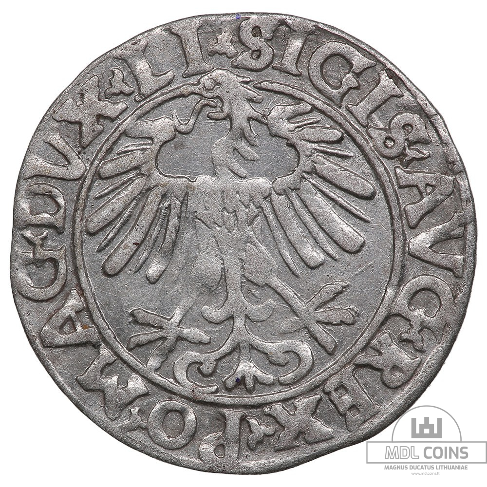 1556 metų Žygimanto Augusto 1/2 grašio - Image 2