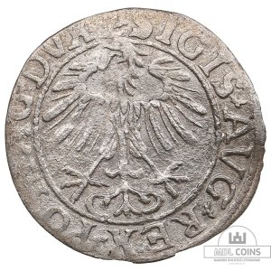 Alternative view of 1557 metų Žygimanto Augusto 1/2 grašio