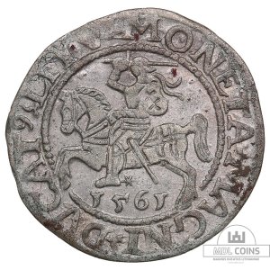 1561 metų Žygimanto Augusto 1/2 grašio – (Sesija Nr.89 – Pabaiga 20260408 – 22.00 val. + 2 min. „Anti-sniping”)