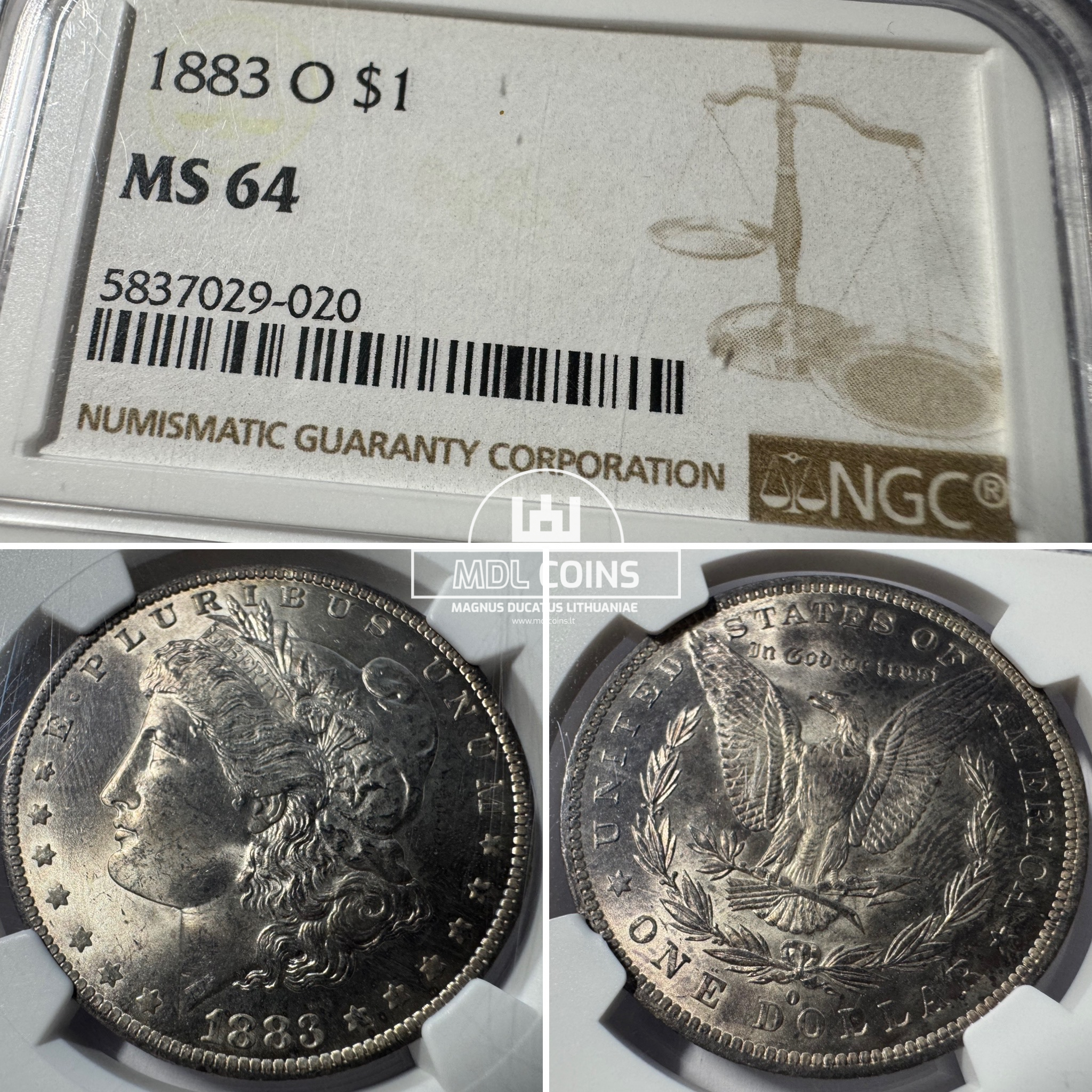 JAV - 1883 metų 1 doleris - "Morganas" - NGC MS64 - (Sidabras 900 / 26,73 g)