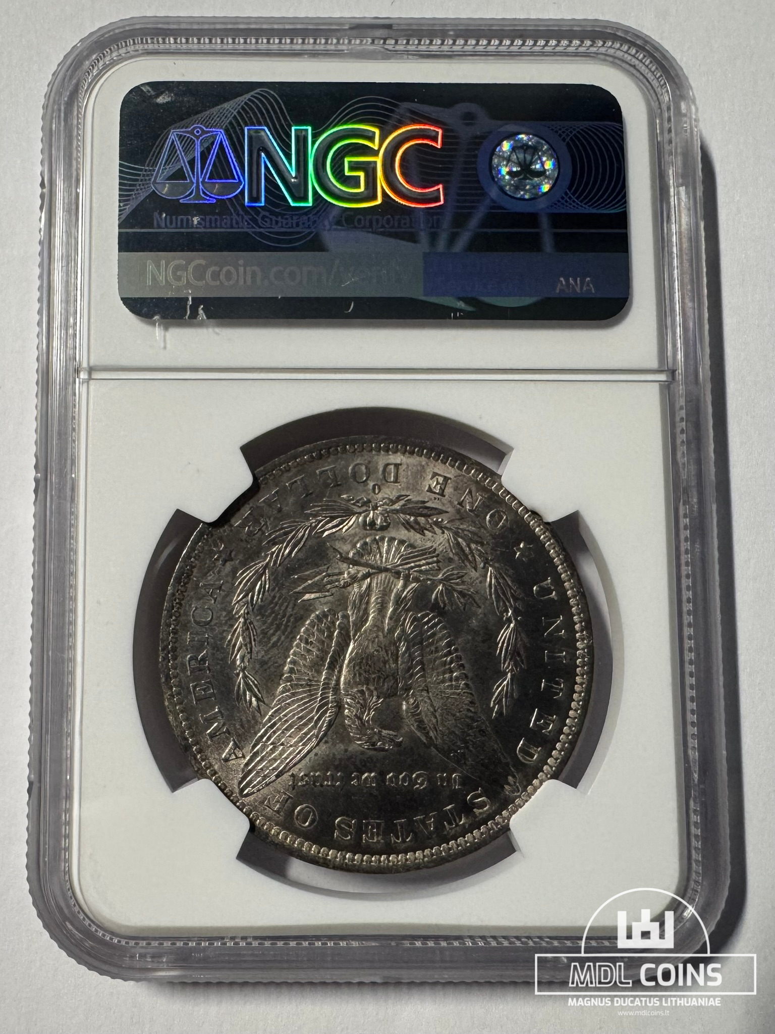 JAV - 1883 metų 1 doleris - "Morganas" - NGC MS64 - (Sidabras 900 / 26,73 g) - Image 3
