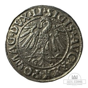 Alternative view of 1547 metų Žygimanto Augusto 1/2 grašio - Dvigubas kalimas