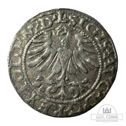 1565 metų Žygimanto Augusto 1/2 grašio - Image 2