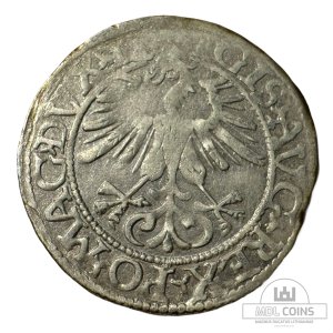 Alternative view of 1561 metų Žygimanto Augusto 1/2 grašio