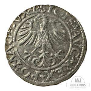 Alternative view of 1561 metų Žygimanto Augusto 1/2 grašio