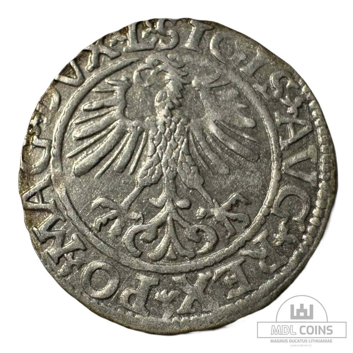 1561 metų Žygimanto Augusto 1/2 grašio - Image 2