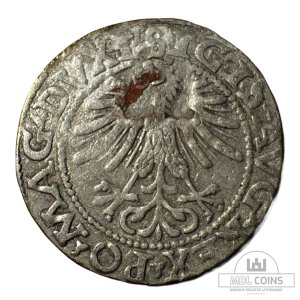 Alternative view of 1562 metų Žygimanto Augusto 1/2 grašio