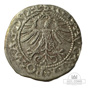 Alternative view of 1562 metų Žygimanto Augusto 1/2 grašio – (Sesija Nr.89 – Pabaiga 20260408 – 22.02 val. + 2 min. „Anti-sniping”)