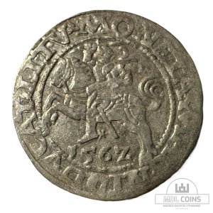 1562 metų Žygimanto Augusto 1/2 grašio