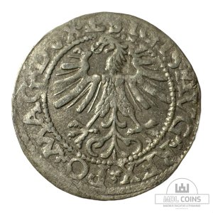 Alternative view of 1562 metų Žygimanto Augusto 1/2 grašio