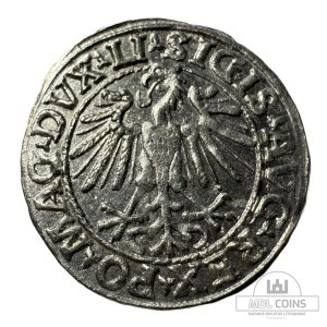 Alternative view of 1548 metų Žygimanto Augusto 1/2 grašio