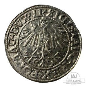 Alternative view of 1548 metų Žygimanto Augusto 1/2 grašio