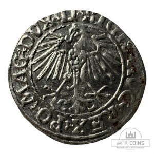 Alternative view of 1548 metų Žygimanto Augusto 1/2 grašio