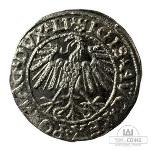 Alternative view of 1547 metų Žygimanto Augusto 1/2 grašio - Dvigubas kalimas