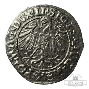 Alternative view of 1547 metų Žygimanto Augusto 1/2 grašio - Dvigubas kalimas