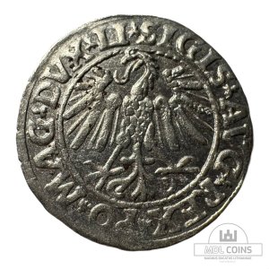 Alternative view of 1547 metų Žygimanto Augusto 1/2 grašio