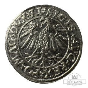 Alternative view of 1547 metų Žygimanto Augusto 1/2 grašio