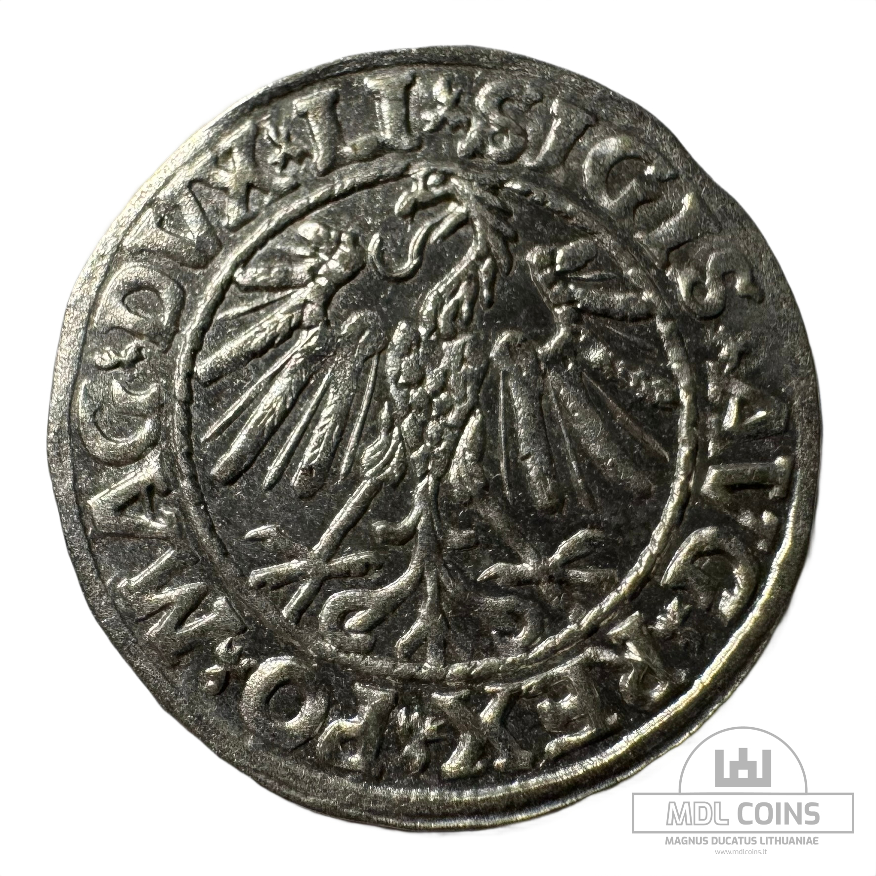 1547 metų Žygimanto Augusto 1/2 grašio - Image 2