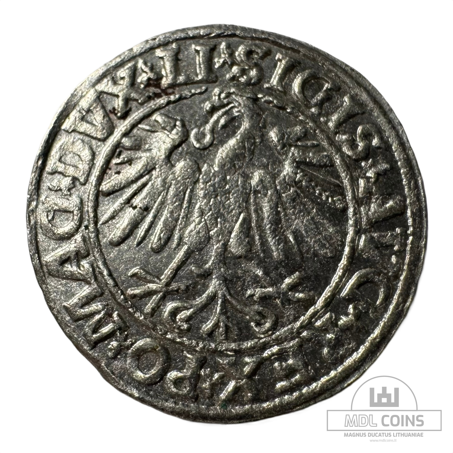 1547 metų Žygimanto Augusto 1/2 grašio - Image 2