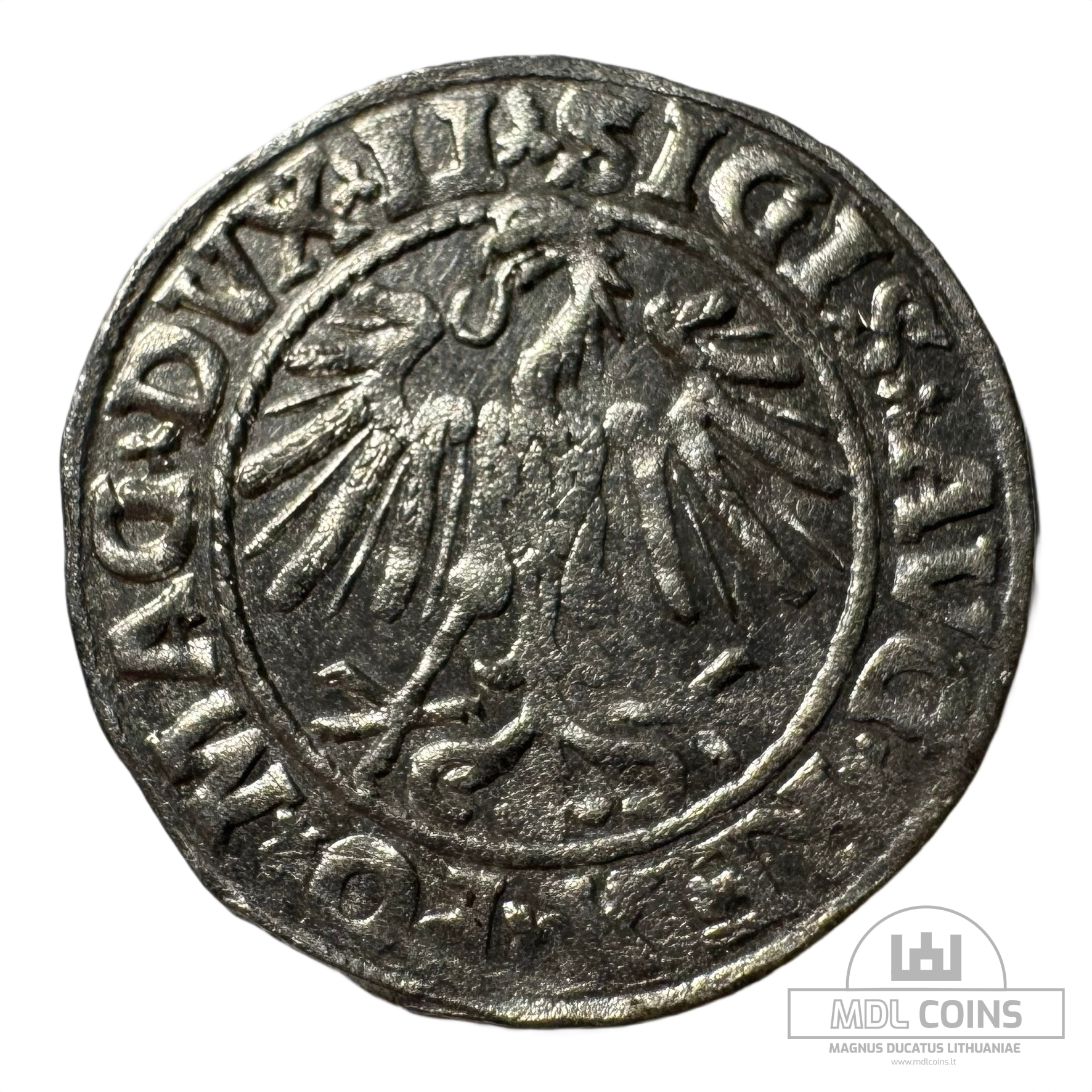 1547 metų Žygimanto Augusto 1/2 grašio - Image 2