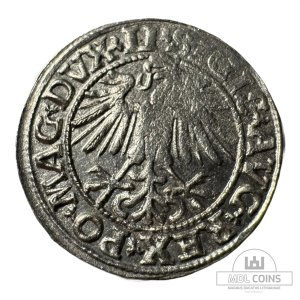 Alternative view of 1549 metų Žygimanto Augusto 1/2 grašio