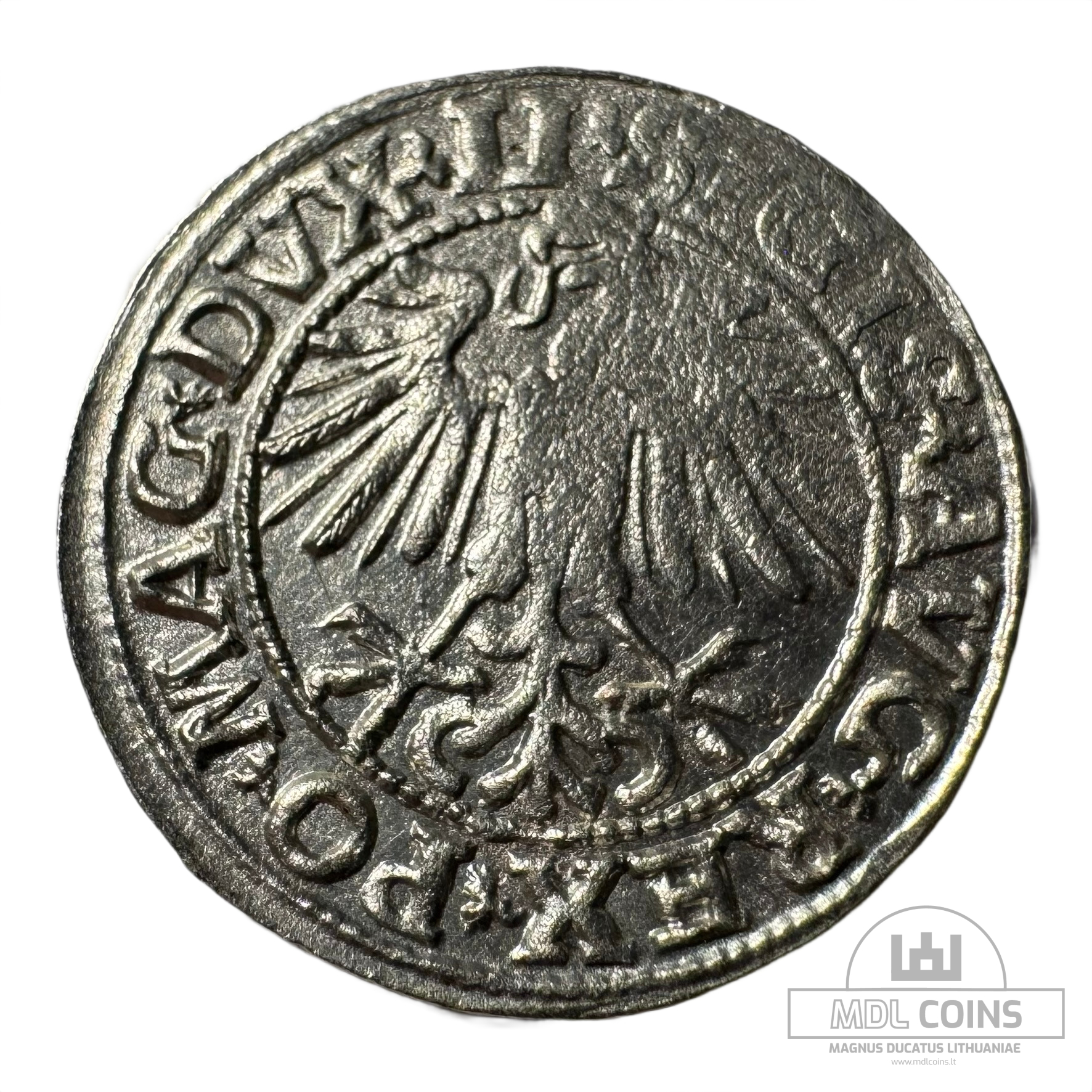 1549 metų Žygimanto Augusto 1/2 grašio - Image 2