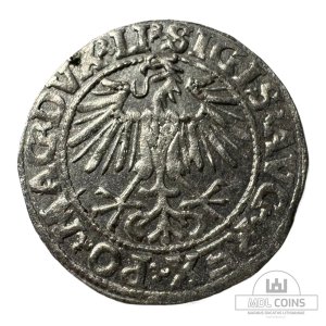 Alternative view of 1548 metų Žygimanto Augusto 1/2 grašio