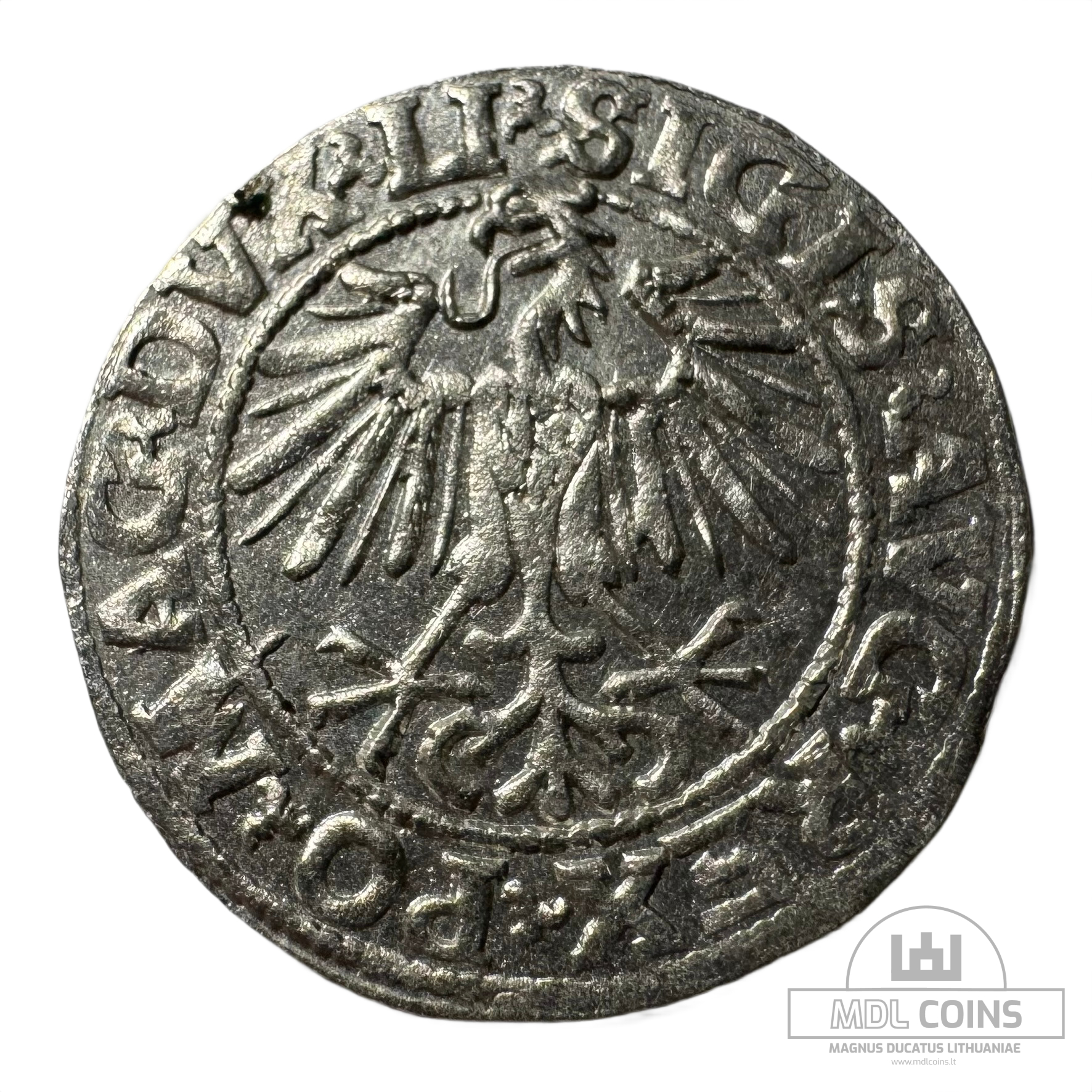 1548 metų Žygimanto Augusto 1/2 grašio - Image 2