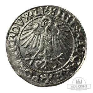 Alternative view of 1548 metų Žygimanto Augusto 1/2 grašio