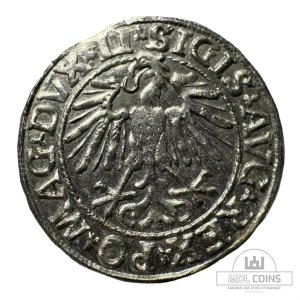 Alternative view of 1548 metų Žygimanto Augusto 1/2 grašio