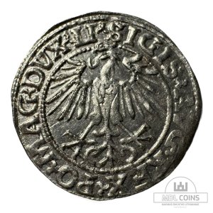 Alternative view of 1548 metų Žygimanto Augusto 1/2 grašio