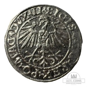 Alternative view of 1548 metų Žygimanto Augusto 1/2 grašio