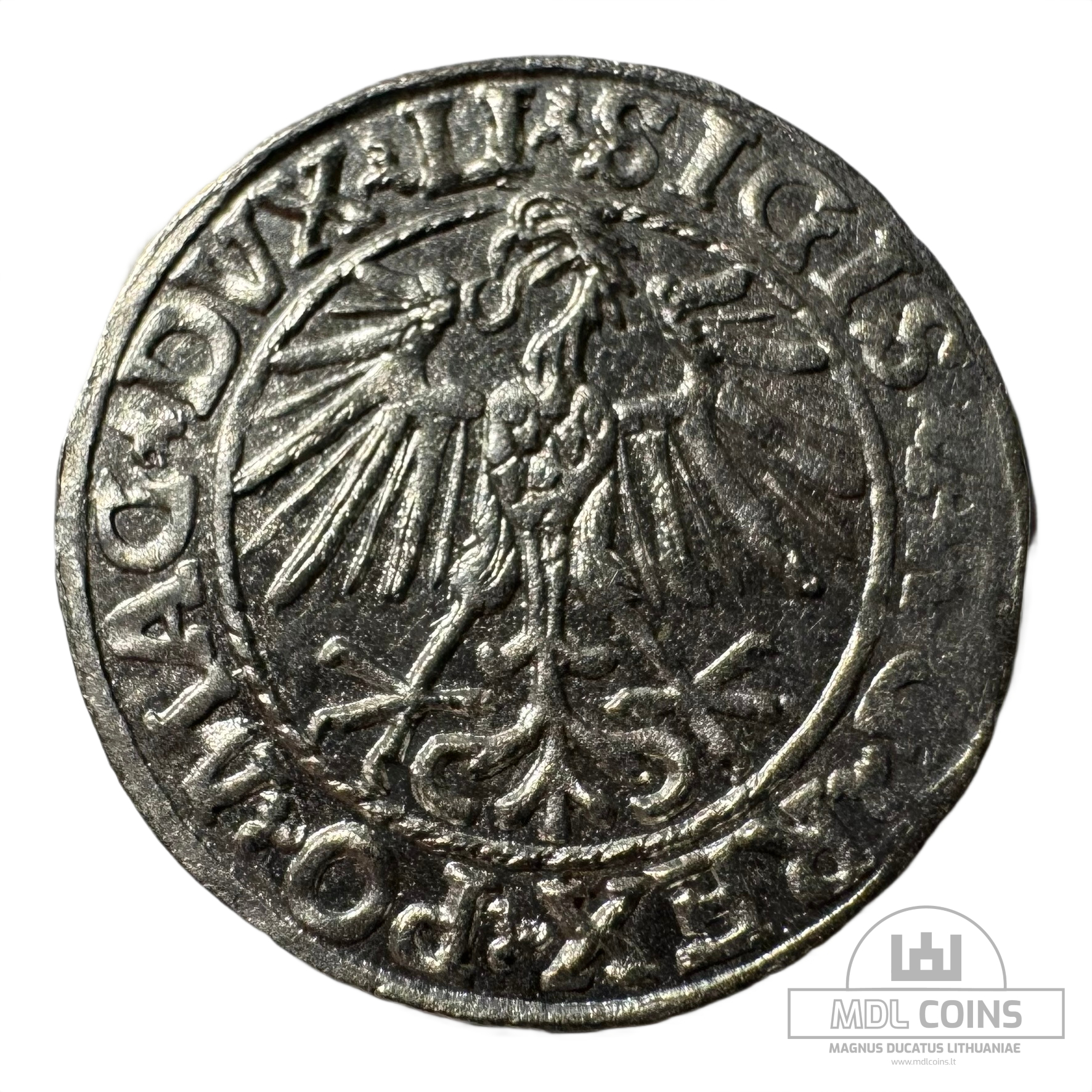 1548 metų Žygimanto Augusto 1/2 grašio - Image 2